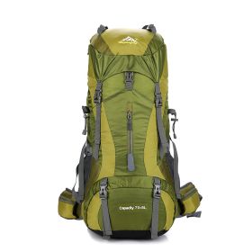 Professional Mountaineering Package Outdoor Camping Backpack Large Capacity Leisure (Color: Green)