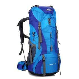 Professional Mountaineering Package Outdoor Camping Backpack Large Capacity Leisure (Color: Blue)